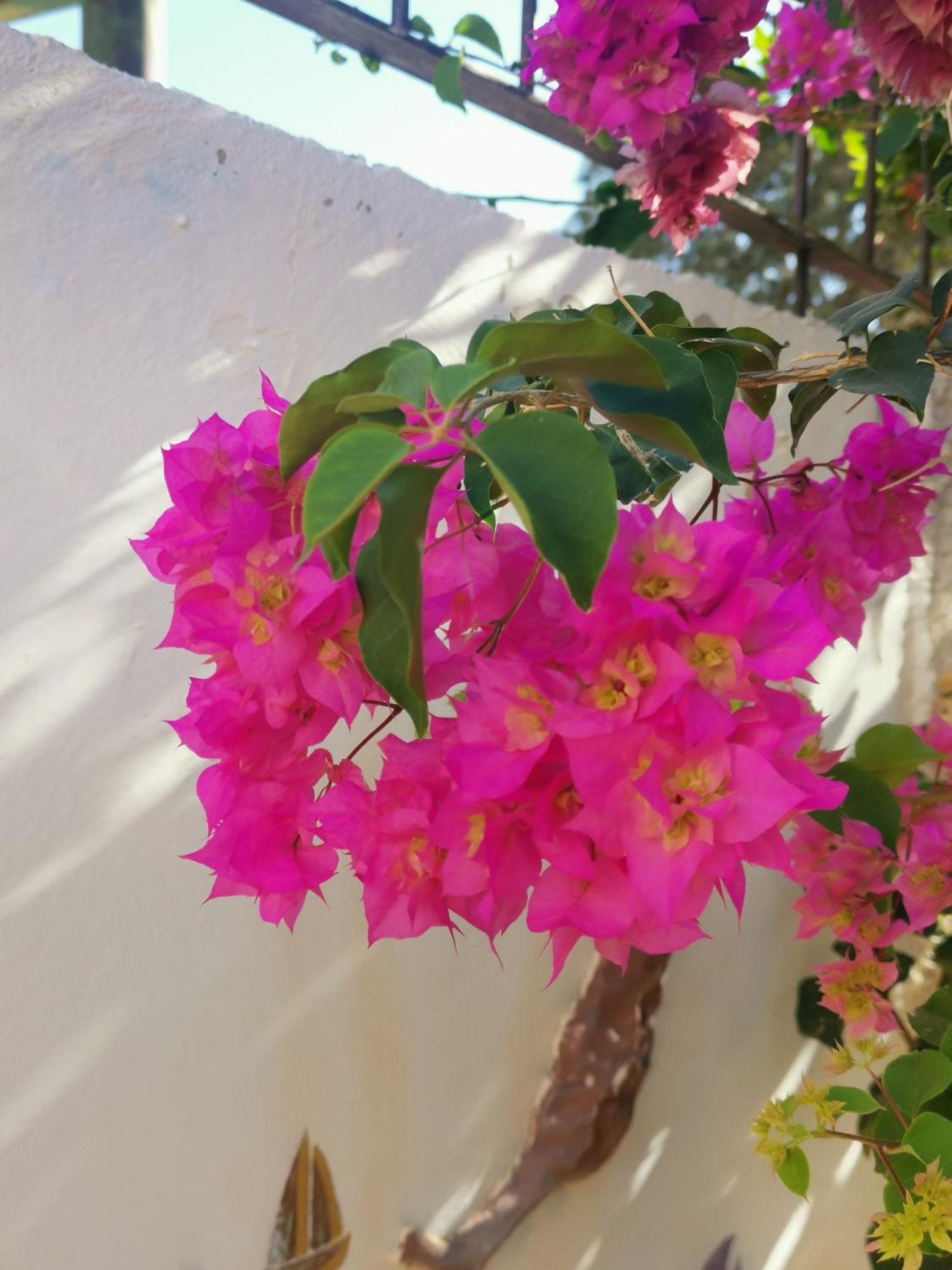 Eden Guesthouse Sardina Exterior photo